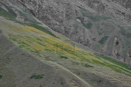 Téléchargez les photos : Une belle vue sur les montagnes de Batakundi au Pakistan - en image libre de droit