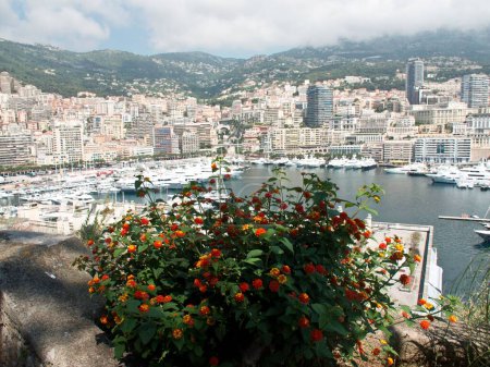 Foto de Una vista desde detrás de plantas de puerto, arquitecturas de Mónaco, cielo nublado y montaña - Imagen libre de derechos