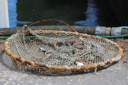 Téléchargez les photos : Gros plan d'un filet de pêche rouillé et abîmé capturé au bord d'une rivière - en image libre de droit