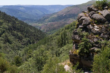 Téléchargez les photos : Un décor tranquille d'une gorge entourée de collines boisées - en image libre de droit