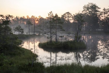 Téléchargez les photos : Une vue sur le paysage du lac entouré d'arbres à feuilles caduques par une journée brumeuse au coucher du soleil - en image libre de droit