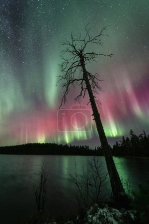 Foto de Una vista impresionante de las luces boreales o aurora boreal en Laponia, Finlandia - Imagen libre de derechos