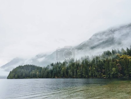 Téléchargez les photos : Un lac calme entouré par la forêt brumeuse et les montagnes pendant la journée - en image libre de droit
