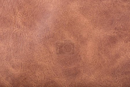A full frame background and natural cowhide texture with copy space