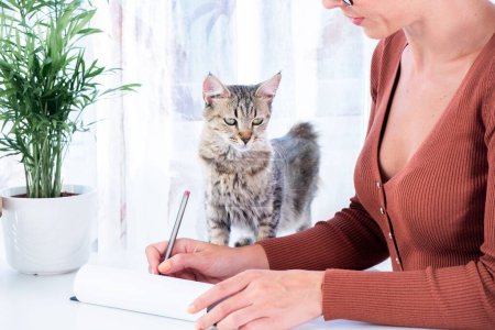 Foto de Un lindo gato pixie-bob parado junto a una mujer caucásica escribiendo una nota con un bolígrafo - Imagen libre de derechos