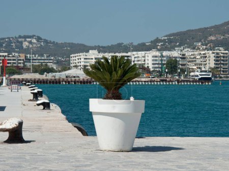 Foto de Una maceta blanca cerca del Mediterráneo, y arquitecturas de Ibiza al fondo en un día soleado - Imagen libre de derechos