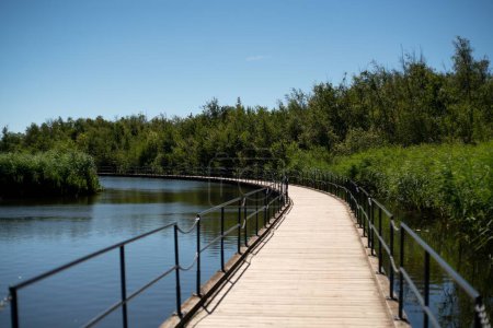 A boardwalk with railings on a lake in the background of bushes
