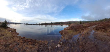 Téléchargez les photos : Le paysage naturel du marais avec des pins et le ciel bleu reflété dans l'eau. - en image libre de droit