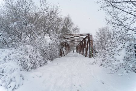 Téléchargez les photos : Chute de neige intense qui laisse un paysage gelé à Torrejon de Ardoz (Madrid) après le passage de la tempête de neige et en arrière-plan un pont. Espagne - en image libre de droit