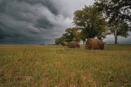 Foto de Una vista de los rollos de heno y árboles en el campo en un día nublado - Imagen libre de derechos