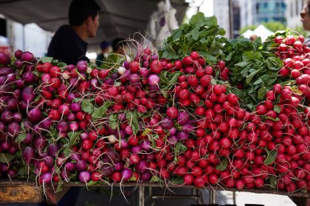 Photo for A Closeup of vegetables for sale at an outdoor farmers market - carrots, radish, turnip, beet - Royalty Free Image