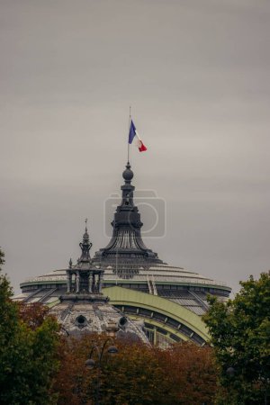 Foto de Un tiro vertical de la bandera de Francia halagador en la parte superior de The Grand Palais en París - Imagen libre de derechos