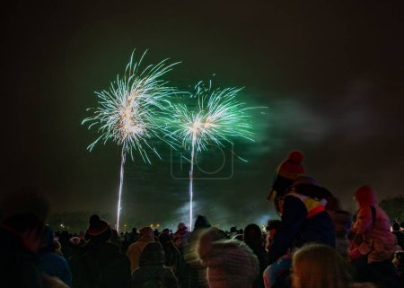 Téléchargez les photos : La foule profitant des beaux feux d'artifice la nuit lors d'un événement en plein air - en image libre de droit