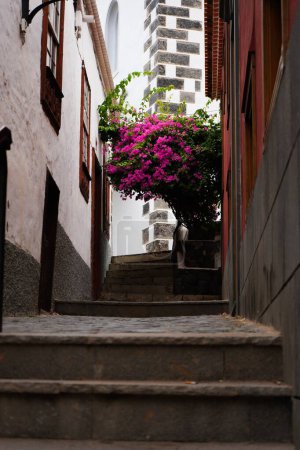 Téléchargez les photos : Plan vertical d'un pot avec des fleurs de papier rose en haut des escaliers entre les bâtiments - en image libre de droit
