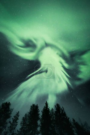 Foto de La aurora polar se ilumina en el cielo estrellado detrás de siluetas de árboles en el bosque en Laponia, Finlandia - Imagen libre de derechos