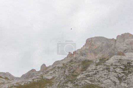 Photo for A breathtaking view of the rocky mountains in Naranjo de Bulnes, Asturias, Spain - Royalty Free Image