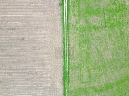 Téléchargez les photos : La vue aérienne de deux champs divisés par une bordure étroite. - en image libre de droit