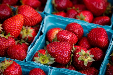 Photo for A box full of fresh strawberries at a local farmers market in Washington - Royalty Free Image