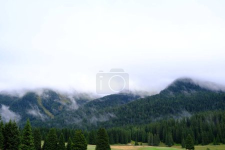 Foto de Un hermoso plano de nubes flotando sobre montañas y valles en Madonna di Campiglio, Italia - Imagen libre de derechos