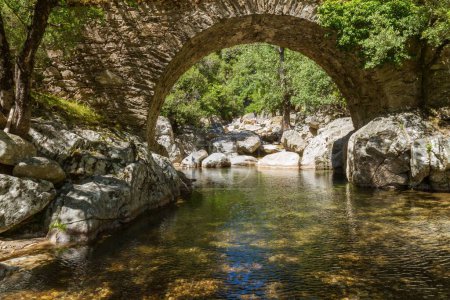 Téléchargez les photos : Un vieux pont de briques sur la rivière. - en image libre de droit