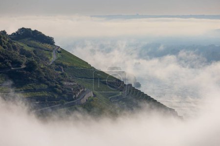 Téléchargez les photos : Vue aérienne de la colline sur un ciel nuageux. Rudesheim am Rhein, Allemagne. - en image libre de droit