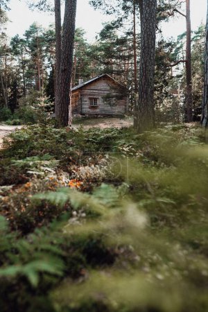 Photo for A vertical shot of a wooden hut in a forest on a sunny day - Royalty Free Image