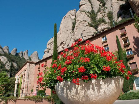 Foto de Floración maceta roja bajo la Abadía de Montserrat en Cataluña, España con cielo azul - Imagen libre de derechos