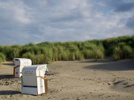 Téléchargez les photos : Les chaises de plage à capuchon colorées, sur la plage de sable de l'île Juist en mer du Nord, par une journée nuageuse, avec de l'herbe verte en arrière-plan - en image libre de droit