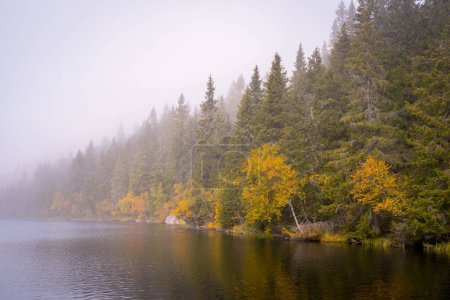 A beautiful scenery of Svartdalstjern Lake of the Totenaasen Hills with autumn trees in fog