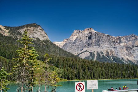 Téléchargez les photos : Un magnifique paysage de gens faisant du kayak dans un lac avec des arbres et des montagnes à Banff et dans le parc national Jasper - en image libre de droit