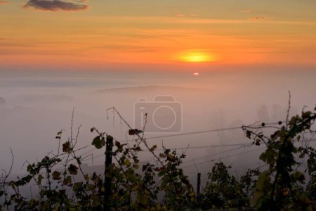 Téléchargez les photos : Une vue imprenable sur le brouillard au-dessus d'une belle montagne lors d'un coucher de soleil envoûtant - en image libre de droit