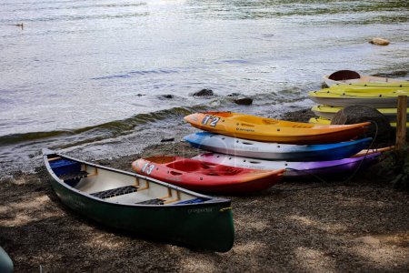 Photo for A group of canoes on a Lake Windermere coast - Royalty Free Image