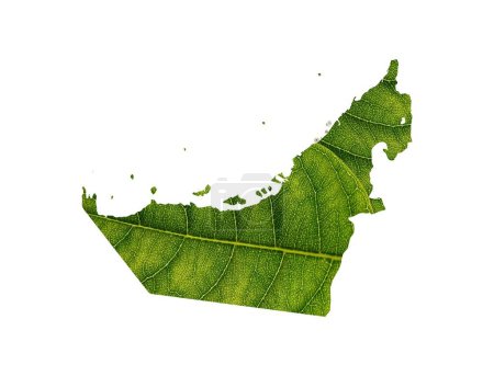 Foto de Un mapa de Dubai hecho de hojas verdes sobre el fondo del suelo concepto de ecología sobre fondo blanco - Imagen libre de derechos