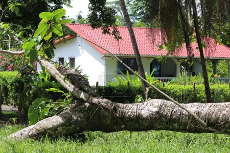 Téléchargez les photos : Une belle maison avec un beau jardin au Costa Rica - en image libre de droit