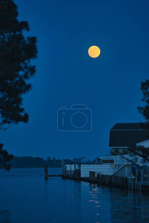Foto de Una toma vertical de la luna llena aislada en el cielo azul oscuro - Imagen libre de derechos