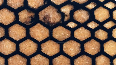 Téléchargez les photos : Texture nid d'abeille au miel, miel liquide jaune doré - en image libre de droit