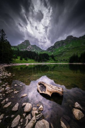 Téléchargez les photos : Une vue du paysage des sapins et des montagnes reflétée dans le lac par une journée nuageuse - en image libre de droit