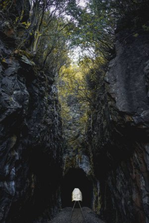 Téléchargez les photos : Une voie pour le train entre montagnes et tunnel aux arbres verts - en image libre de droit