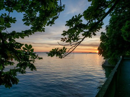 Téléchargez les photos : Un arbre vert sur la rive du lac tranquille Constance (Bodensee) au coucher du soleil sur l'île de Lindau, Allemagne - en image libre de droit
