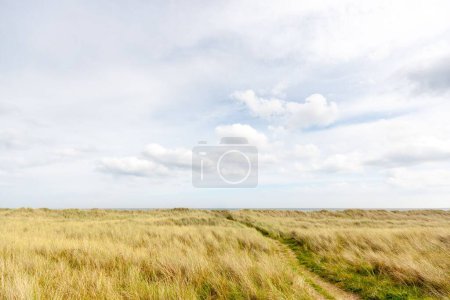 Photo for Narrow path in wide grass field under cloudy sky on a sunny day in the coastal village of Mornington, Ireland - Royalty Free Image