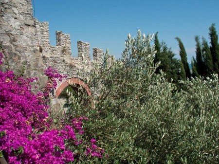 Foto de Una pared de piedra de una antigua fortaleza detrás de un arbusto verde con flores púrpura en un día soleado - Imagen libre de derechos