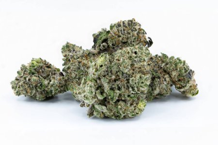 Un primer plano de hierba de cannabis aislada sobre un fondo blanco
