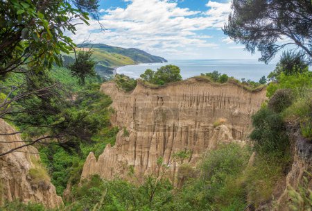 Foto de Una vista impresionante de los acantilados rocosos de la catedral con la vegetación verde exuberante por la bahía de Gore en Nueva Zelanda - Imagen libre de derechos