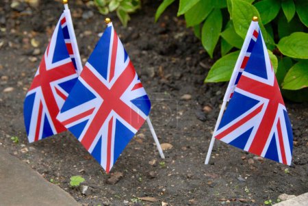 Foto de Un primer plano de pequeñas banderas de Inglaterra sobre palos blancos rellenos en el suelo cerca de arbustos verdes - Imagen libre de derechos