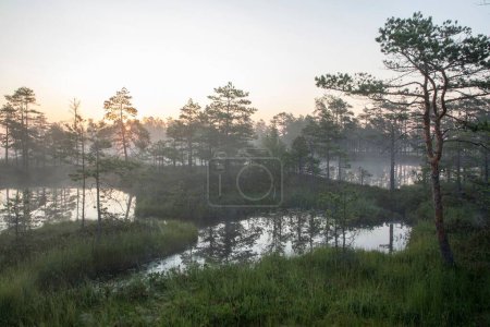 Téléchargez les photos : Une vue sur le paysage du lac entouré d'arbres à feuilles caduques par une journée brumeuse au coucher du soleil - en image libre de droit