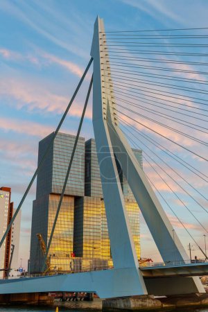 Téléchargez les photos : Le pont Erasmus à Rotterdam aux Pays-Bas, avec le bâtiment Rotterdam en arrière-plan - en image libre de droit