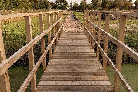 Photo for The wooden bridge leads to a pathway in a greenery on a sunny day - Royalty Free Image