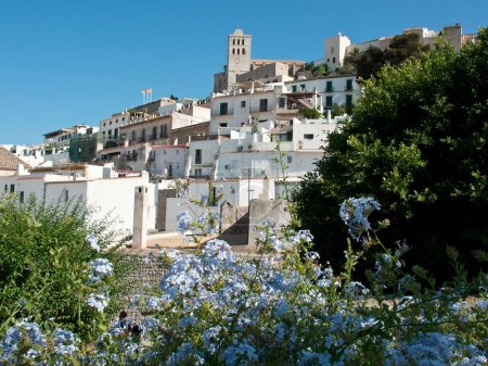 Foto de Una vista de las hermosas arquitecturas blancas de la ciudad de Ibiza detrás de plantas y flores en flor en España - Imagen libre de derechos