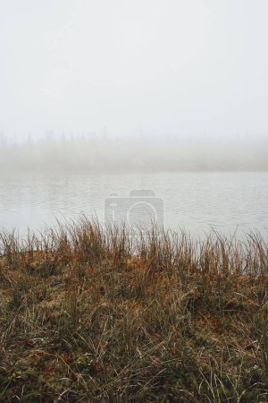 Téléchargez les photos : Plan vertical d'un lac dans une brume épaisse en automne - en image libre de droit