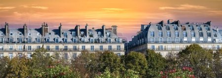 Téléchargez les photos : Paris, immeuble typique avec lampadaire, façade parisienne rue de Rivoli - en image libre de droit
